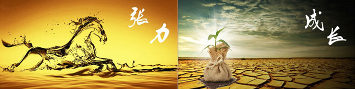 企業(yè)發(fā)展要學(xué)會取他人之長、補(bǔ)自己之短